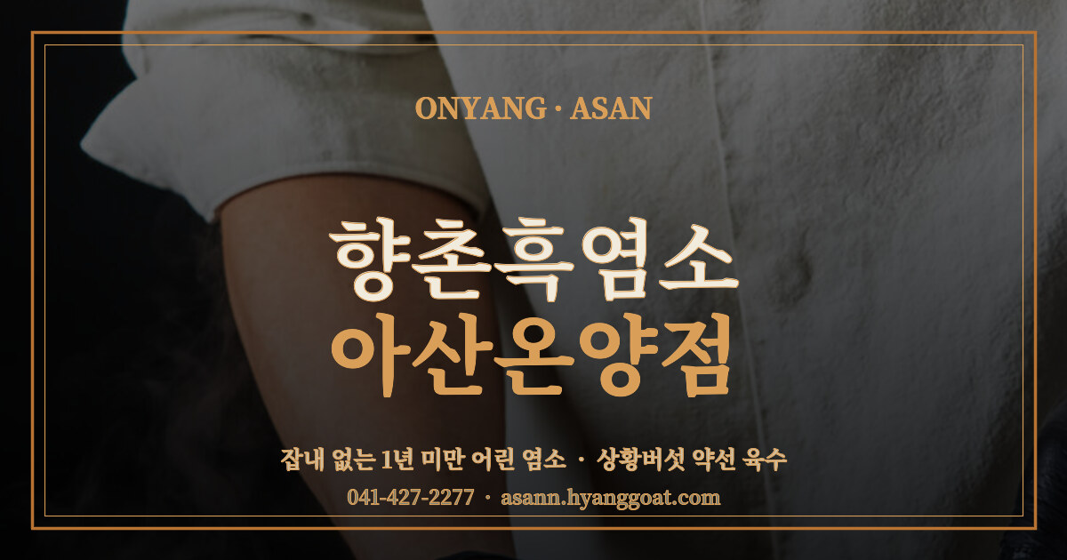 향촌흑염소 아산온양점 대표 이미지